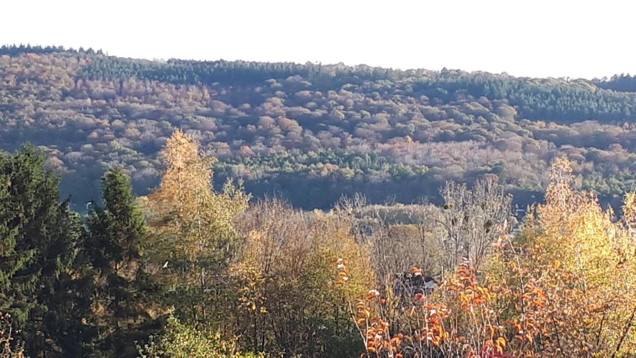 Le Coeur Sur La Main Hotell Namur Exteriör bild
